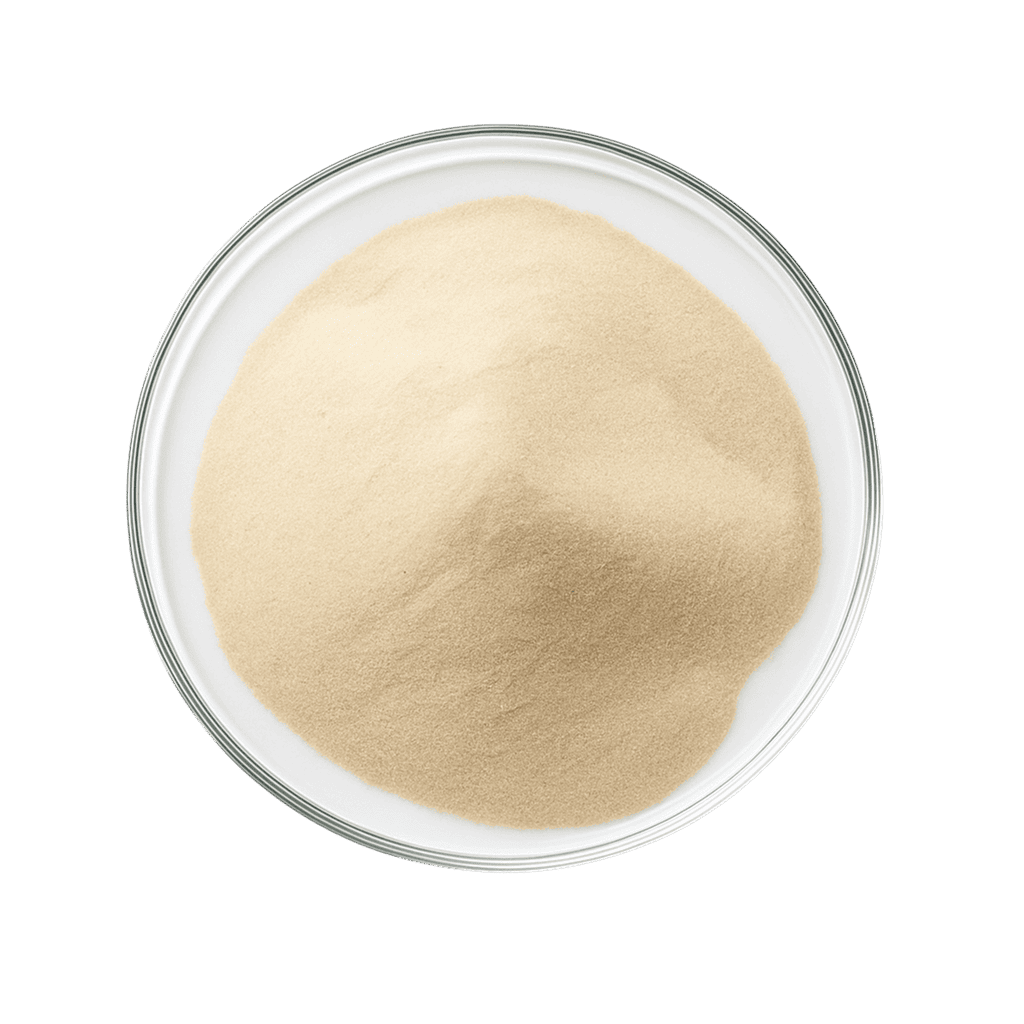 Модифицированный ксантановый биополимер «BIOSIN»